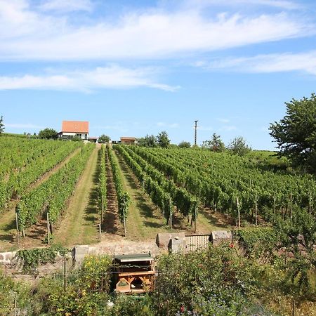 La Belle Alsacienne - Route Des Vins D'Alsace Hotel Hattstatt Eksteriør billede