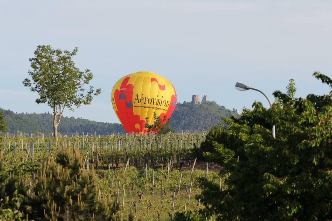 La Belle Alsacienne - Route Des Vins D'Alsace Hotel Hattstatt Værelse billede